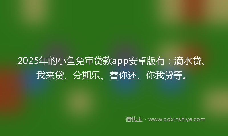 2025年的小鱼免审贷款app安卓版有：滴水贷、我来贷、分期乐、替你还、你我贷等。