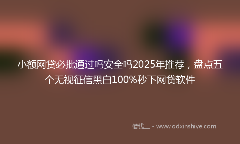小额网贷必批通过吗安全吗2025年推荐，盘点五个无视征信黑白100%秒下网贷软件