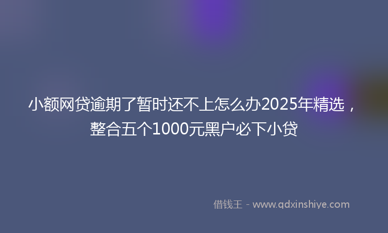 小额网贷逾期了暂时还不上怎么办2025年精选，整合五个1000元黑户必下小贷