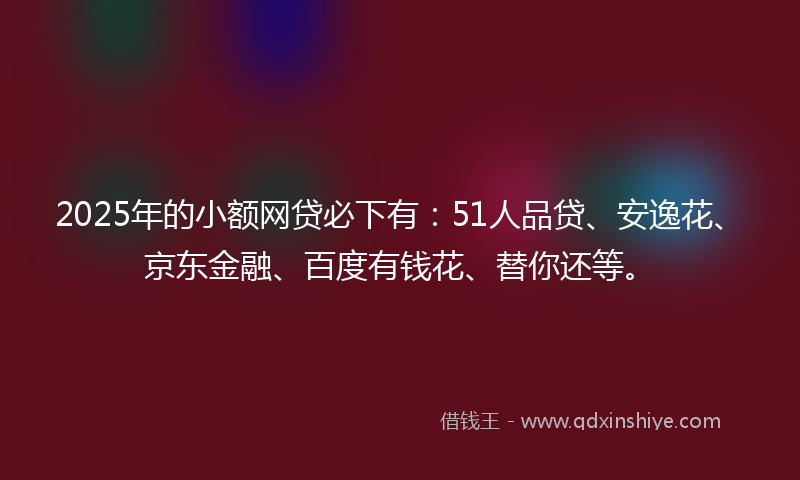 2025年的小额网贷必下有：51人品贷、安逸花、京东金融、百度有钱花、替你还等。