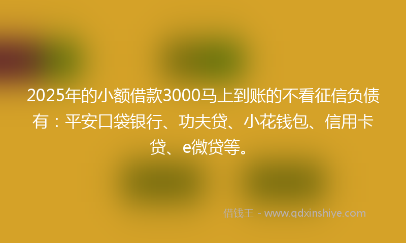2025年的小额借款3000马上到账的不看征信负债有：平安口袋银行、功夫贷、小花钱包、信用卡贷、e微贷等。