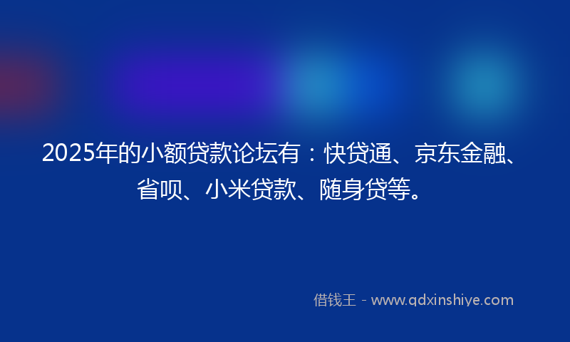 2025年的小额贷款论坛有：快贷通、京东金融、省呗、小米贷款、随身贷等。