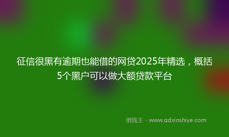 征信很黑有逾期也能借的网贷2025年精选，概括5个黑户可以做大额贷款平台