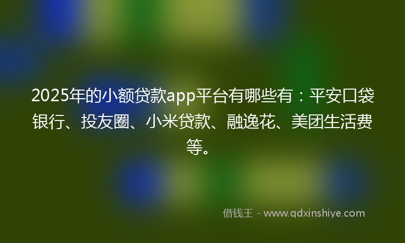 2025年的小额贷款app平台有哪些有：平安口袋银行、投友圈、小米贷款、融逸花、美团生活费等。