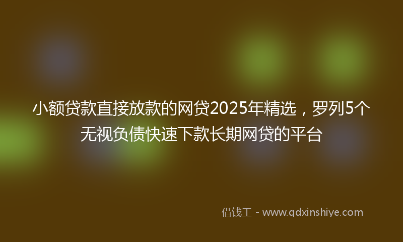 小额贷款直接放款的网贷2025年精选，罗列5个无视负债快速下款长期网贷的平台