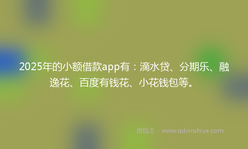 2025年的小额借款app有：滴水贷、分期乐、融逸花、百度有钱花、小花钱包等。