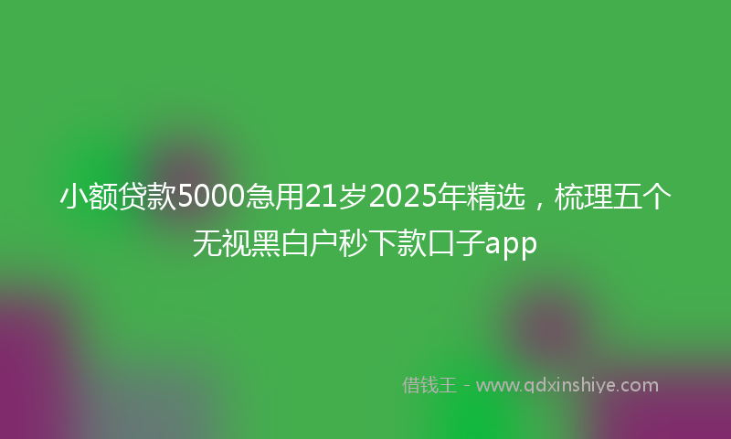 小额贷款5000急用21岁2025年精选，梳理五个无视黑白户秒下款口子app