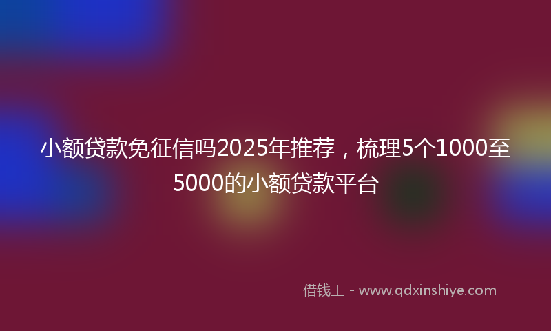 小额贷款免征信吗2025年推荐，梳理5个1000至5000的小额贷款平台