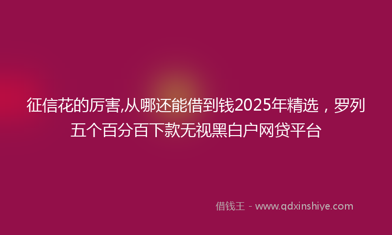 征信花的厉害,从哪还能借到钱2025年精选，罗列五个百分百下款无视黑白户网贷平台