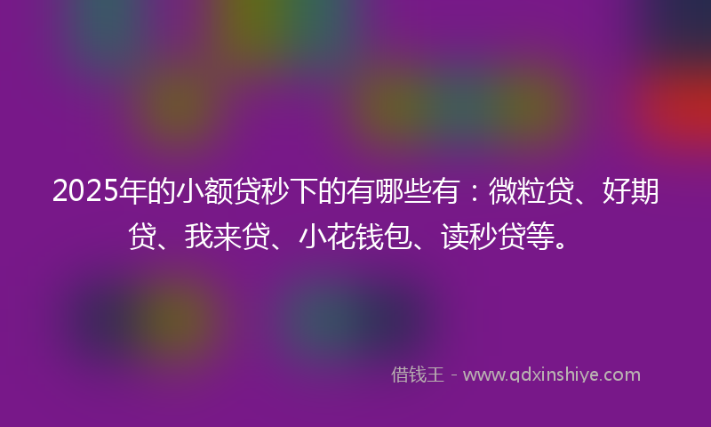 2025年的小额贷秒下的有哪些有：微粒贷、好期贷、我来贷、小花钱包、读秒贷等。