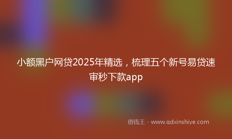 小额黑户网贷2025年精选，梳理五个新号易贷速审秒下款app