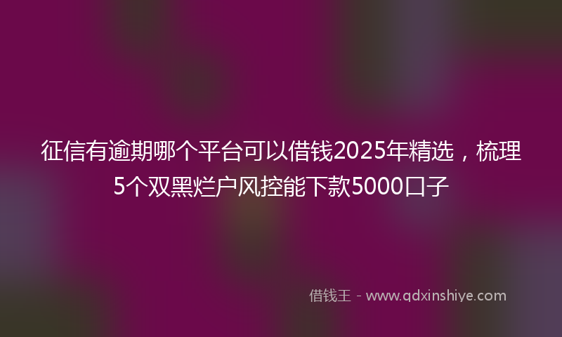 征信有逾期哪个平台可以借钱2025年精选，梳理5个双黑烂户风控能下款5000口子