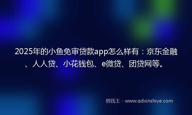 2025年的小鱼免审贷款app怎么样有：京东金融、人人贷、小花钱包、e微贷、团贷网等。