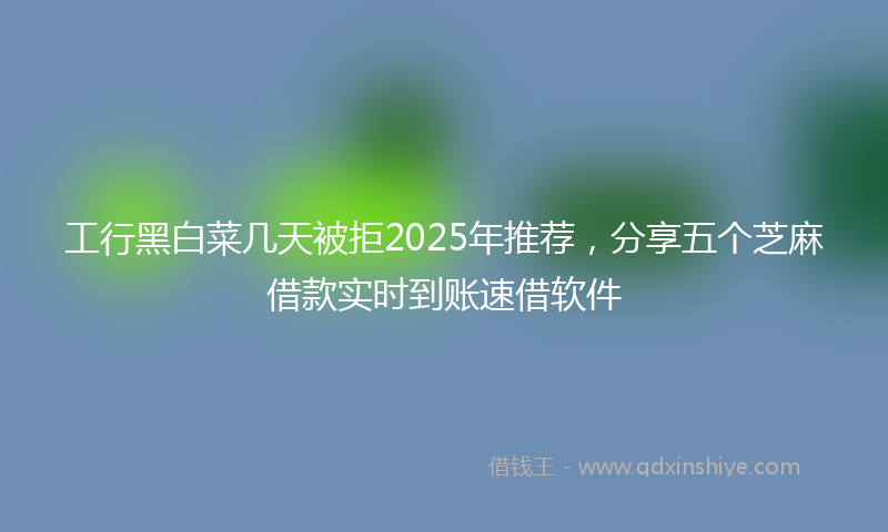 工行黑白菜几天被拒2025年推荐，分享五个芝麻借款实时到账速借软件