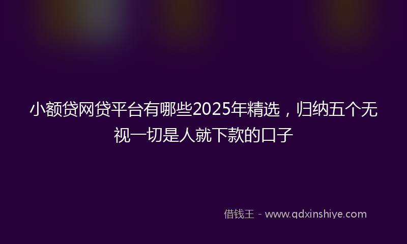 小额贷网贷平台有哪些2025年精选，归纳五个无视一切是人就下款的口子