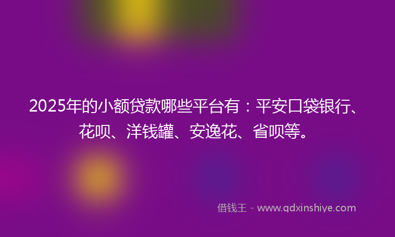 2025年的小额贷款哪些平台有：平安口袋银行、花呗、洋钱罐、安逸花、省呗等。