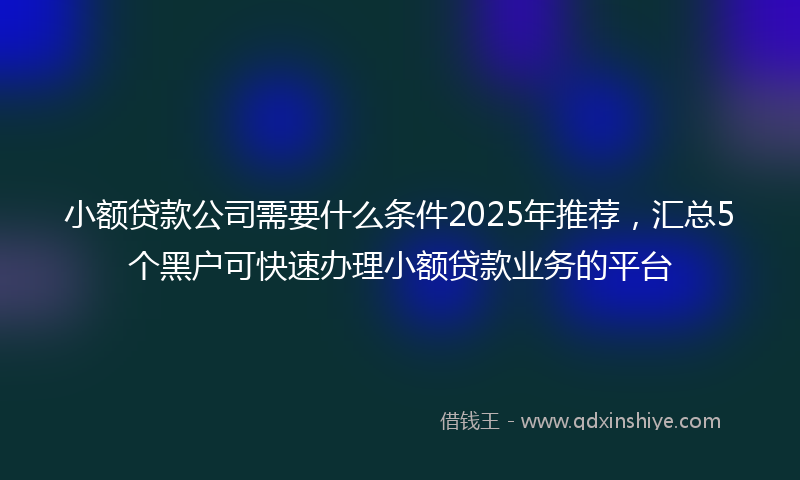 小额贷款公司需要什么条件2025年推荐，汇总5个黑户可快速办理小额贷款业务的平台