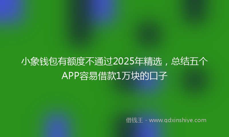 小象钱包有额度不通过2025年精选，总结五个APP容易借款1万块的口子