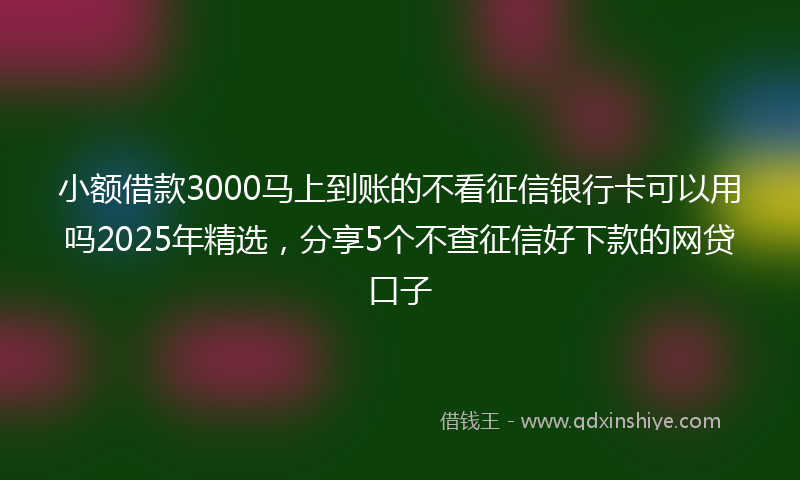 小额借款3000马上到账的不看征信银行卡可以用吗2025年精选，分享5个不查征信好下款的网贷口子