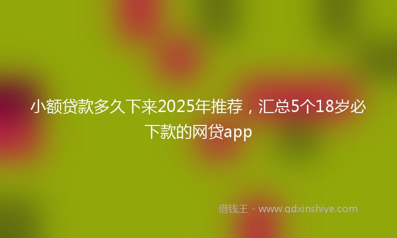 小额贷款多久下来2025年推荐，汇总5个18岁必下款的网贷app
