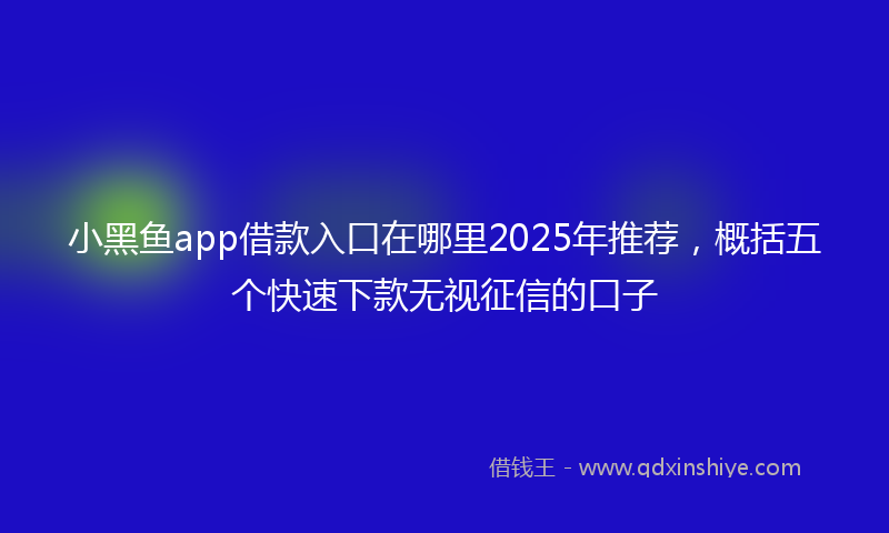 小黑鱼app借款入口在哪里2025年推荐，概括五个快速下款无视征信的口子