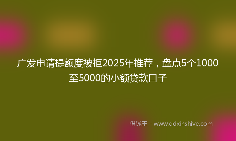 广发申请提额度被拒2025年推荐，盘点5个1000至5000的小额贷款口子