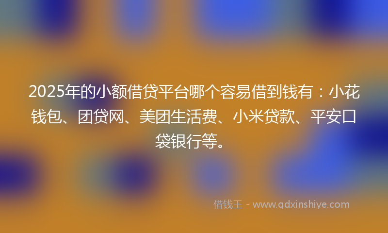 2025年的小额借贷平台哪个容易借到钱有：小花钱包、团贷网、美团生活费、小米贷款、平安口袋银行等。
