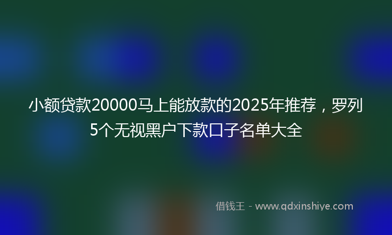 小额贷款20000马上能放款的2025年推荐，罗列5个无视黑户下款口子名单大全