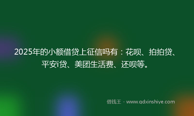 2025年的小额借贷上征信吗有：花呗、拍拍贷、平安i贷、美团生活费、还呗等。