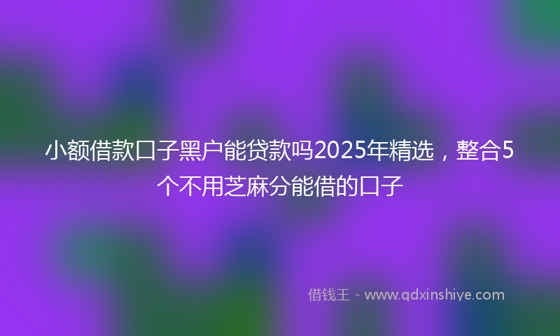 小额借款口子黑户能贷款吗2025年精选，整合5个不用芝麻分能借的口子