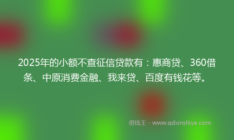 2025年的小额不查征信贷款有：惠商贷、360借条、中原消费金融、我来贷、百度有钱花等。