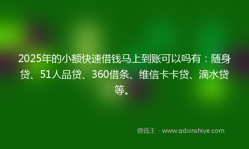 2025年的小额快速借钱马上到账可以吗有：随身贷、51人品贷、360借条、维信卡卡贷、滴水贷等。