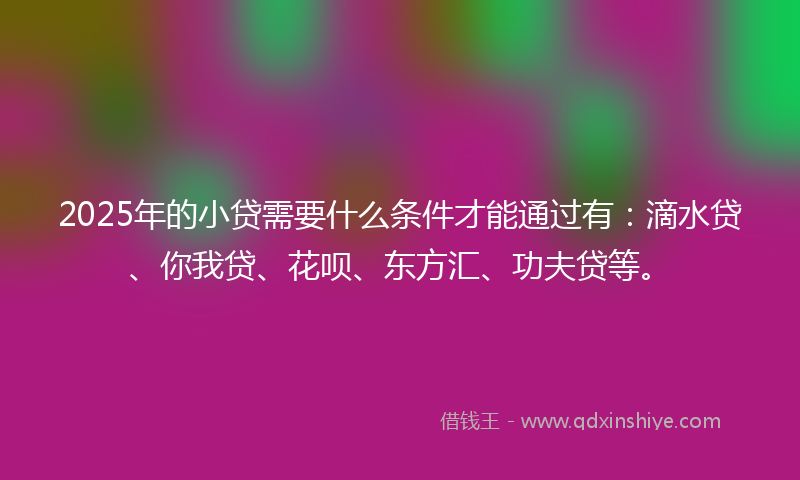 2025年的小贷需要什么条件才能通过有：滴水贷、你我贷、花呗、东方汇、功夫贷等。