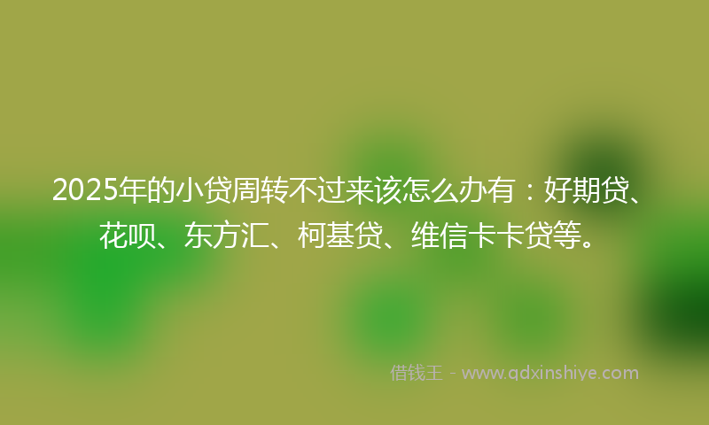 2025年的小贷周转不过来该怎么办有：好期贷、花呗、东方汇、柯基贷、维信卡卡贷等。