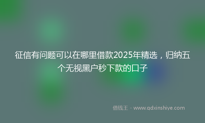 征信有问题可以在哪里借款2025年精选，归纳五个无视黑户秒下款的口子