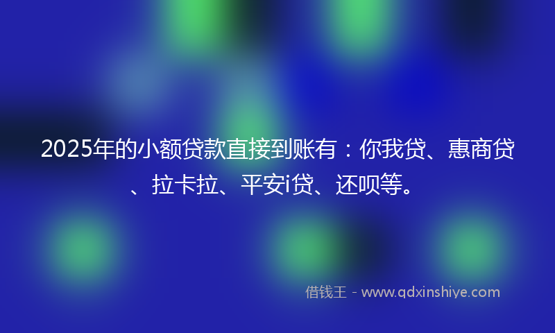 2025年的小额贷款直接到账有：你我贷、惠商贷、拉卡拉、平安i贷、还呗等。