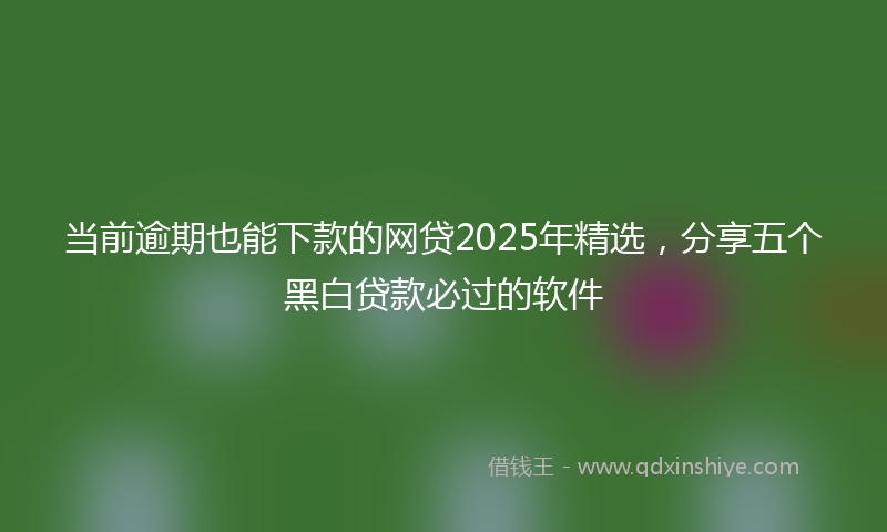 当前逾期也能下款的网贷2025年精选，分享五个黑白贷款必过的软件