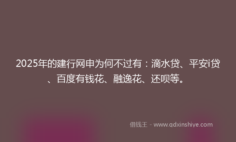 2025年的建行网申为何不过有：滴水贷、平安i贷、百度有钱花、融逸花、还呗等。