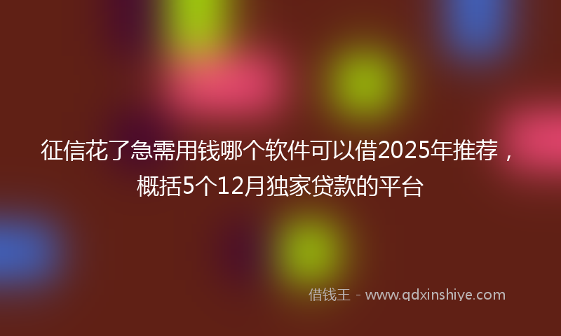 征信花了急需用钱哪个软件可以借2025年推荐，概括5个12月独家贷款的平台