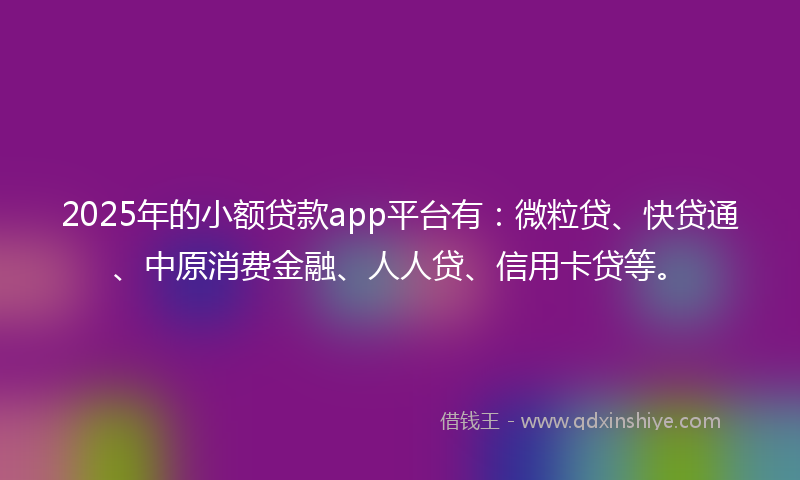 2025年的小额贷款app平台有：微粒贷、快贷通、中原消费金融、人人贷、信用卡贷等。