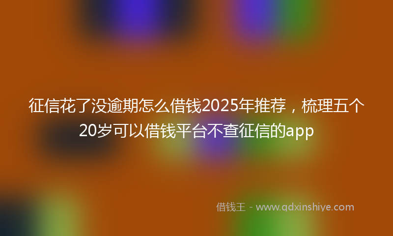征信花了没逾期怎么借钱2025年推荐，梳理五个20岁可以借钱平台不查征信的app