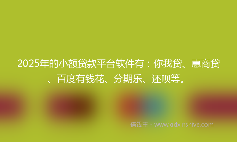 2025年的小额贷款平台软件有：你我贷、惠商贷、百度有钱花、分期乐、还呗等。
