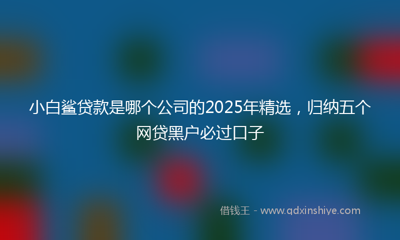 小白鲨贷款是哪个公司的2025年精选，归纳五个网贷黑户必过口子