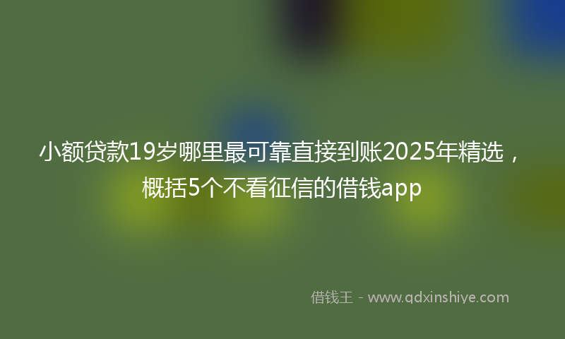 小额贷款19岁哪里最可靠直接到账2025年精选，概括5个不看征信的借钱app