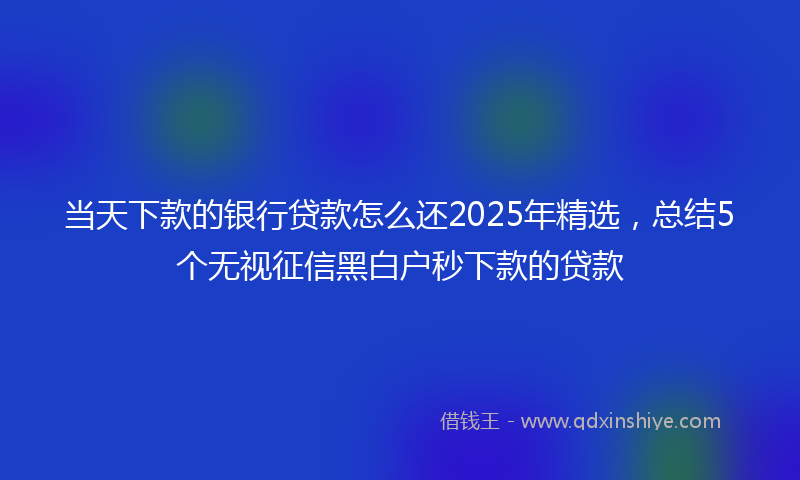 当天下款的银行贷款怎么还2025年精选，总结5个无视征信黑白户秒下款的贷款
