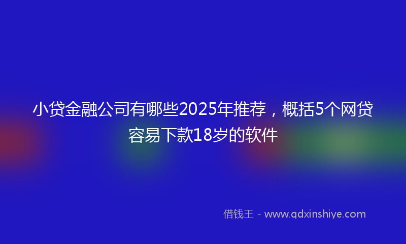 小贷金融公司有哪些2025年推荐，概括5个网贷容易下款18岁的软件