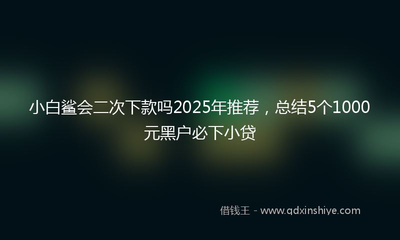 小白鲨会二次下款吗2025年推荐，总结5个1000元黑户必下小贷