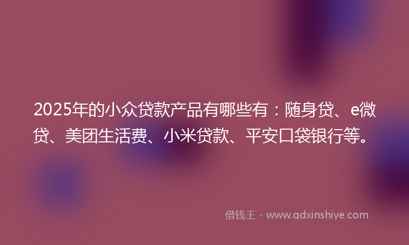 2025年的小众贷款产品有哪些有：随身贷、e微贷、美团生活费、小米贷款、平安口袋银行等。