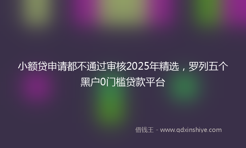 小额贷申请都不通过审核2025年精选，罗列五个黑户0门槛贷款平台