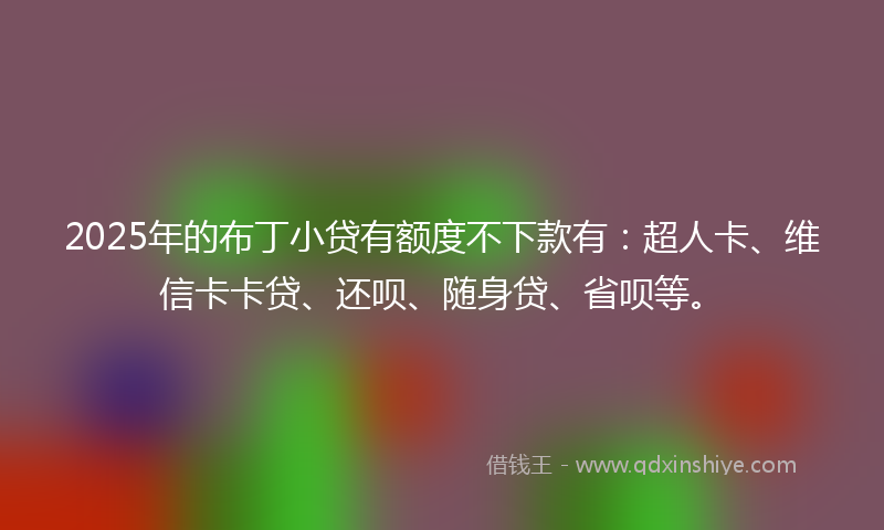 2025年的布丁小贷有额度不下款有：超人卡、维信卡卡贷、还呗、随身贷、省呗等。